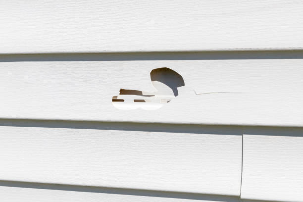 Davisboro, GA Siding Installation & Repair Company